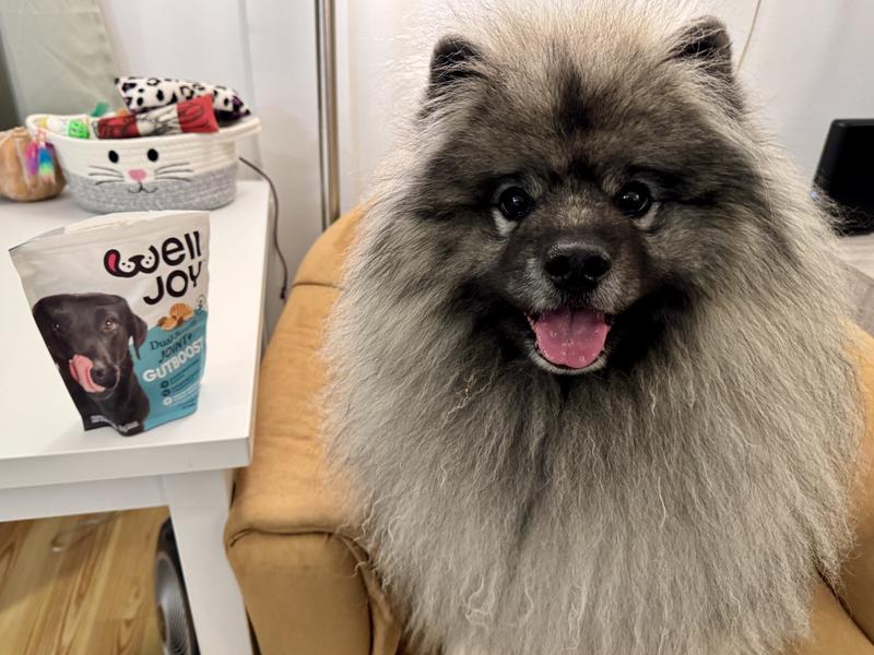 Yogi Bear loves Well-Joy Joint+Gutboost treats.