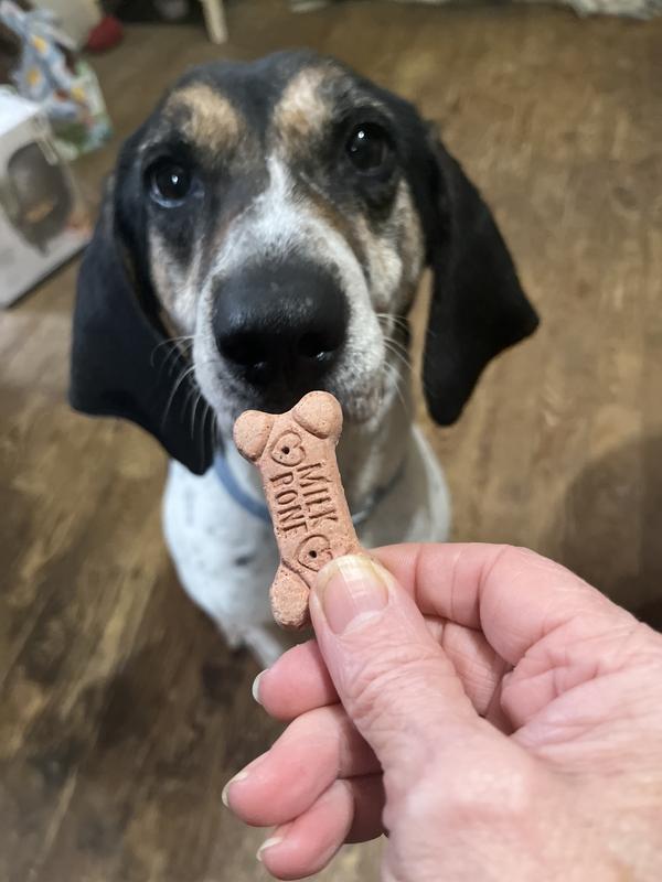 Savannah loves Milkbones!