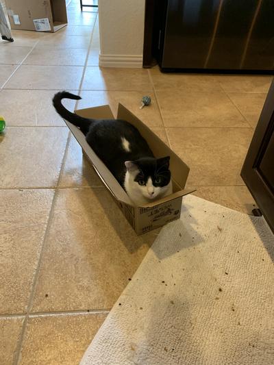 George just got a new box