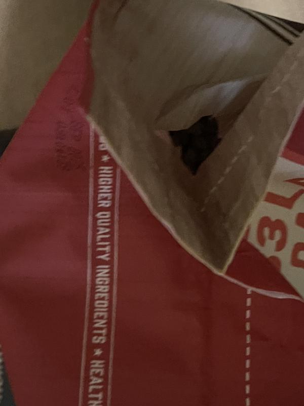 Every bad damage with open bag - chewy replaced and sent another bag and the same thing happens