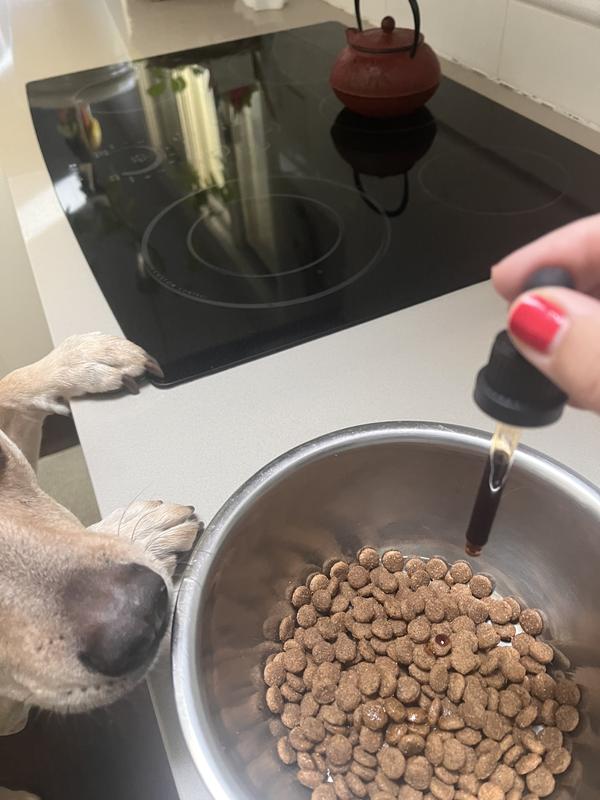 Very curious about the drip drip