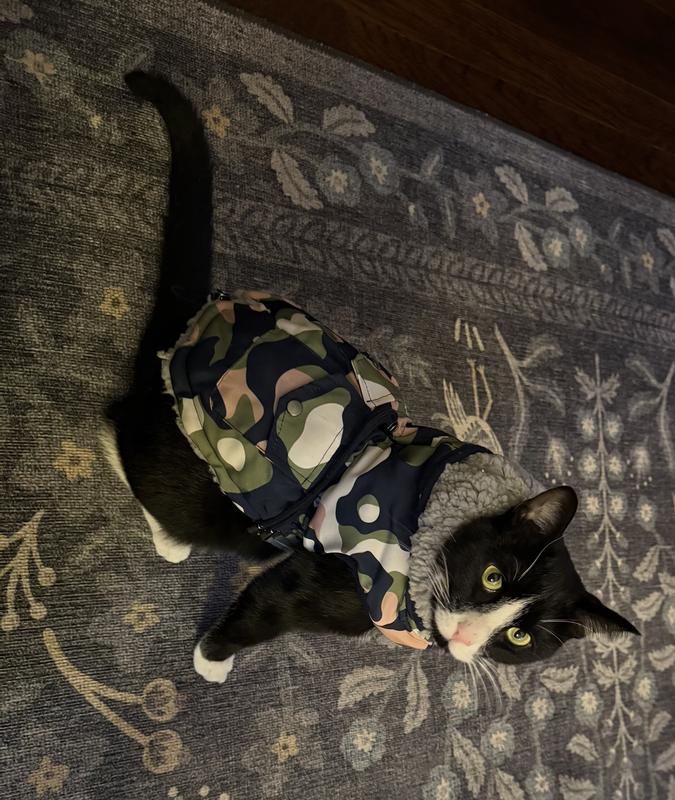 The first and last time he wore it