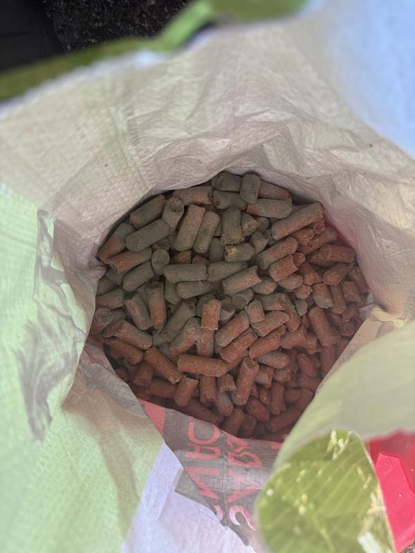 First bag I was sent