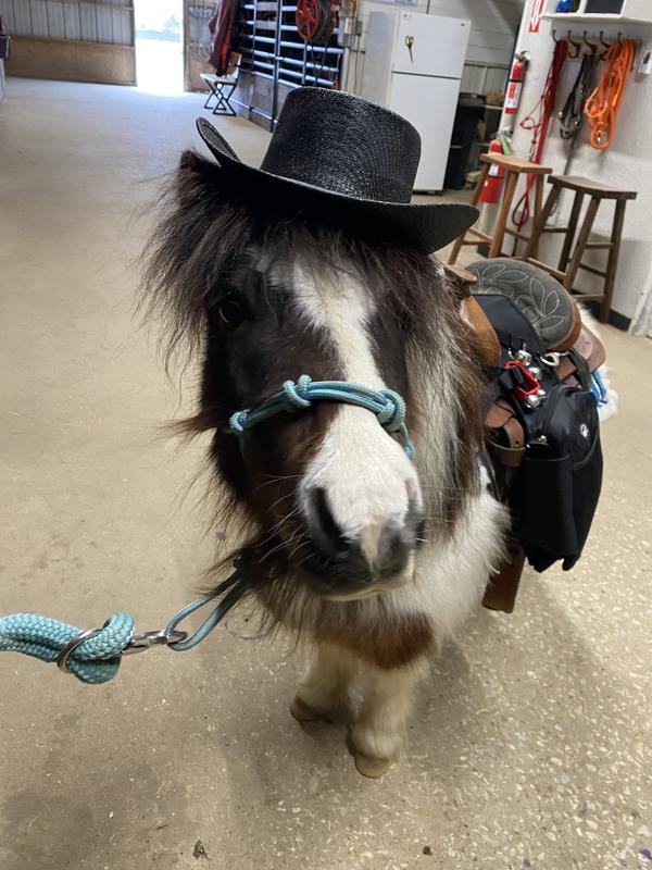 Hatchet Approved Treats!