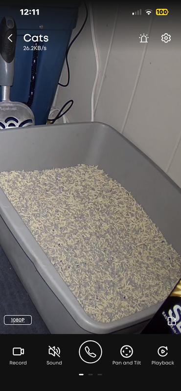 Close up of one of the litter pans. Can see individual pieces of litter. We'd know if our cats got sick.