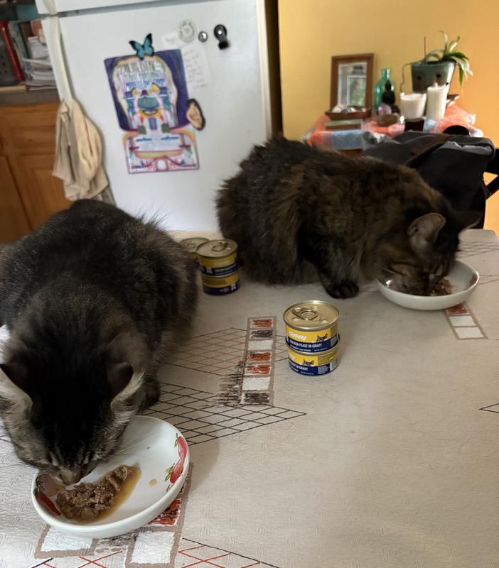 Karma (7 yrs old) and Kitsu (4 yrs old) were very attracted to this food!