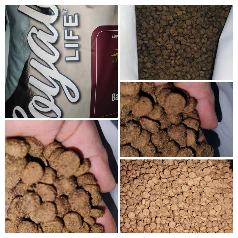 Nutrena Loyall Life Beef & Barley Adult Dog Chow