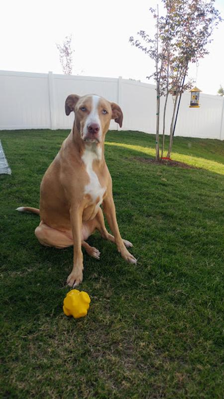 Why can't I destroy this?!