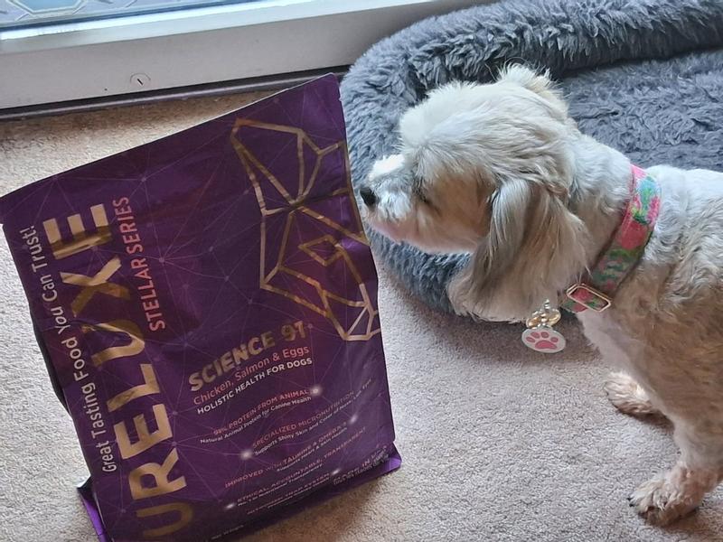 Mazie checking out her new food