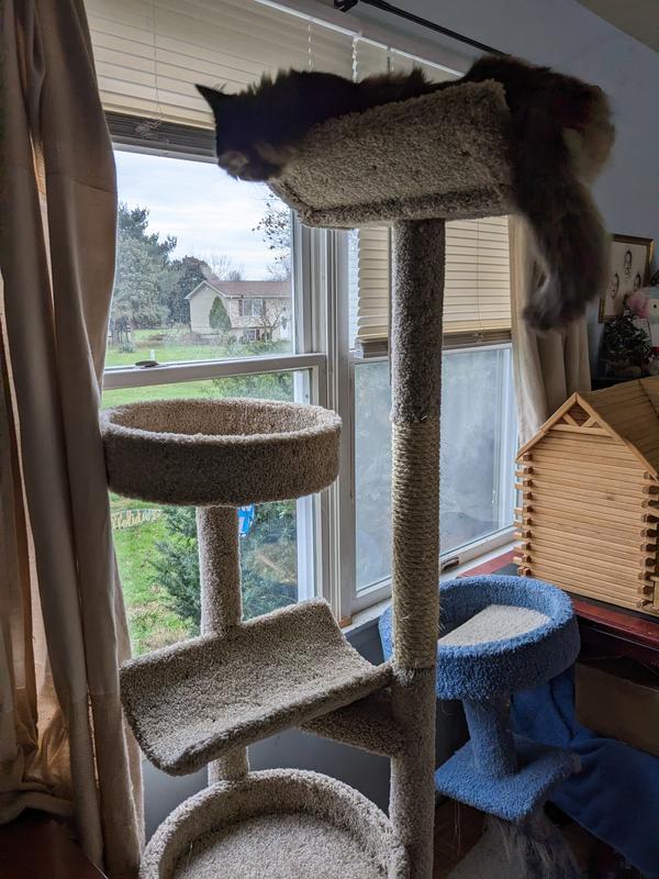 Discontinued FRISCO 70in Real Carpet Solid Wood Cat Tree, Beige
