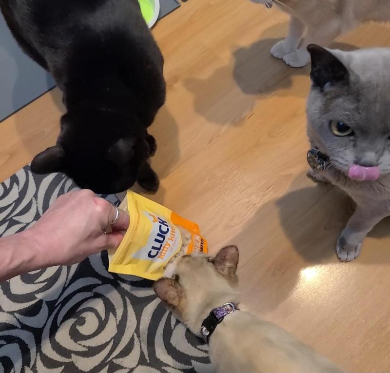 Even my 6-month-old loves these treats!