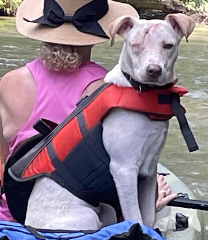 Harvey on the kayak