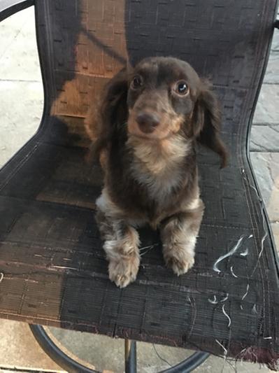 MIA (The BOSS)