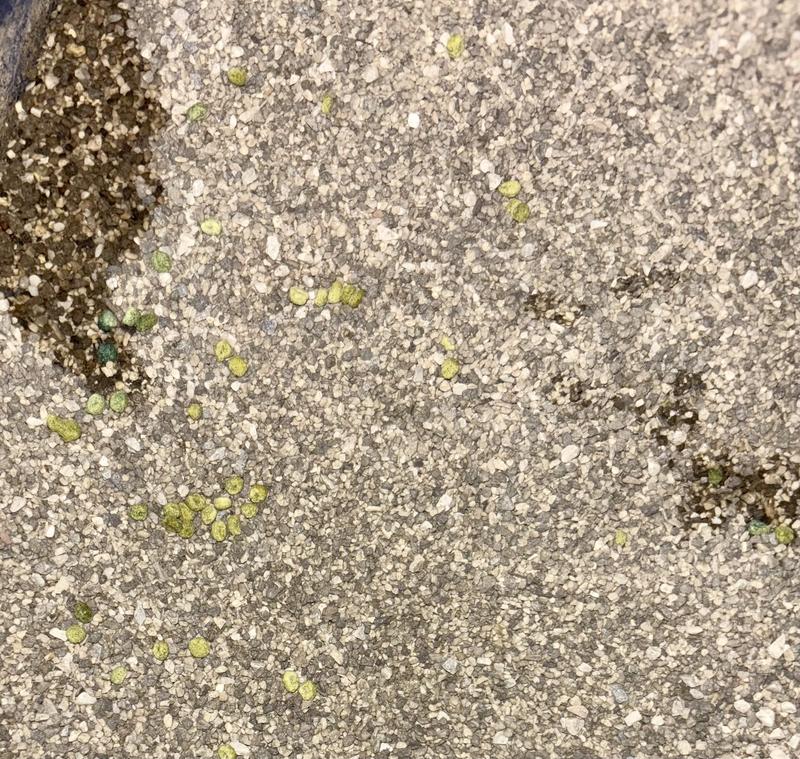 What the granuals look like once used