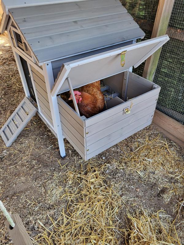 Nesting boxes just the right size for my girl. I love the feature they added to hold the top up.