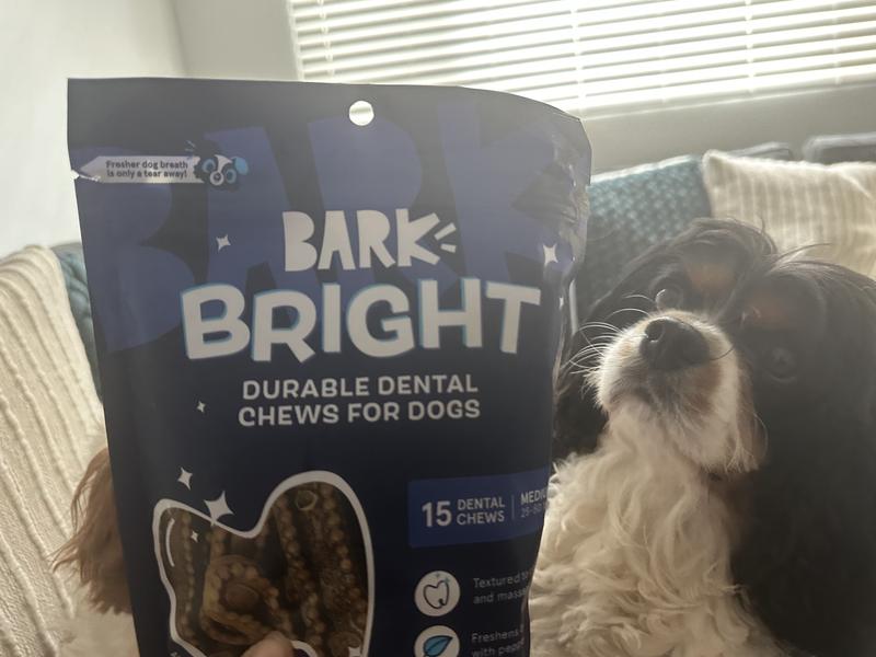 Smokey loves his bark bright!