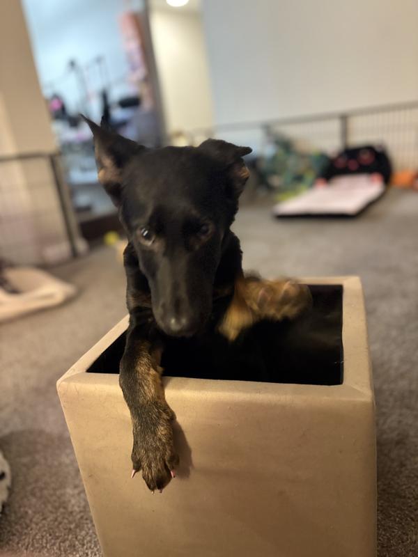 Very cute small and rubbery