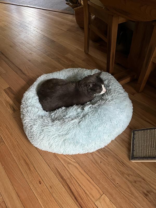 Hasn’t left it since it was delivered!