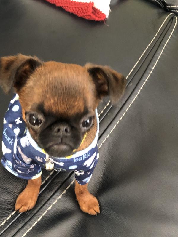 I just had a treat!
