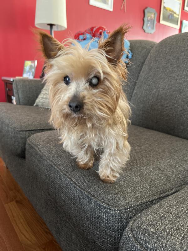 Milo
