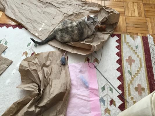 Everything is more fun on noisy packing paper.