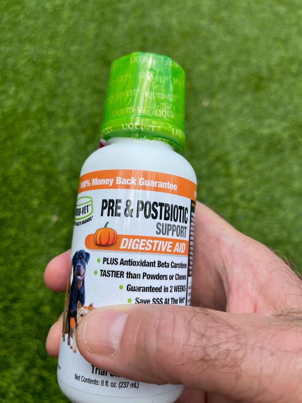 Zeus' Tummy is Back In Order