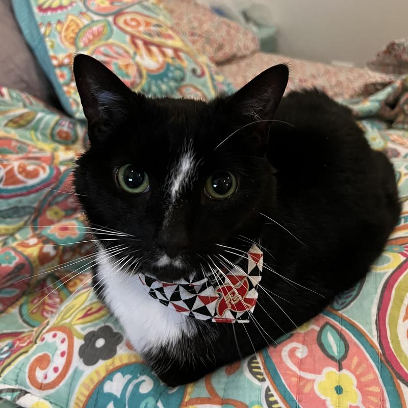 He is such a good boy