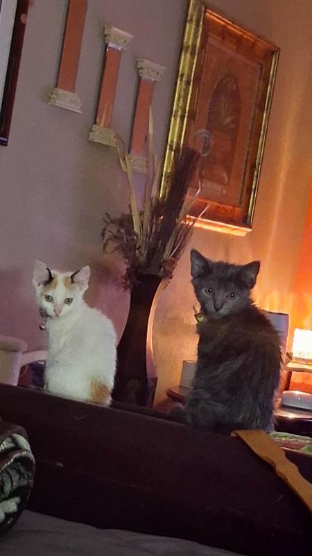 Channing with Kali..