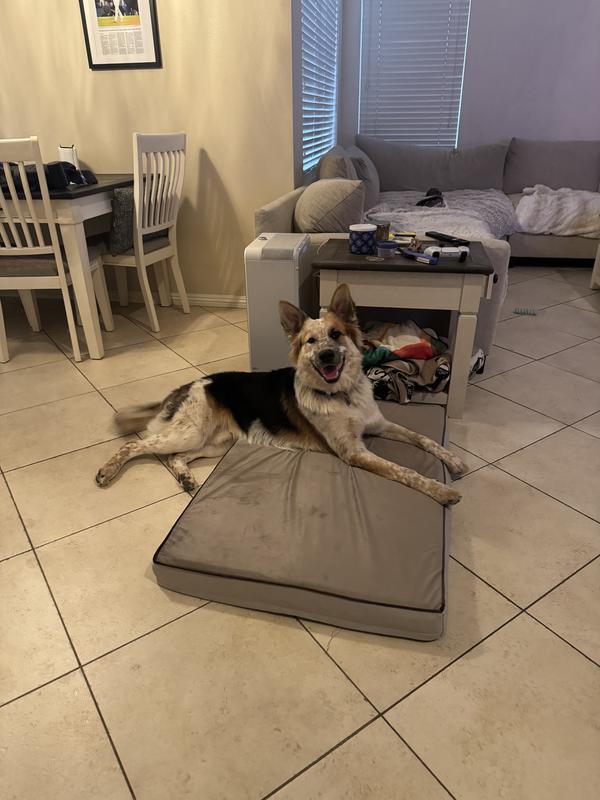I promise he fits.