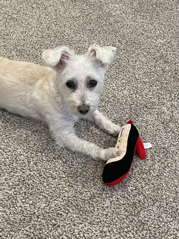 I love a good pair of red-bottom shoes!