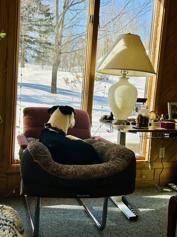 A perfect fit for Fletch