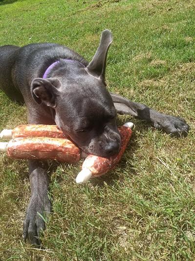 FRISCO Plush Squeaking Tear-Away BBQ Rib Dog Toy, 3-Pack - Chewy.com