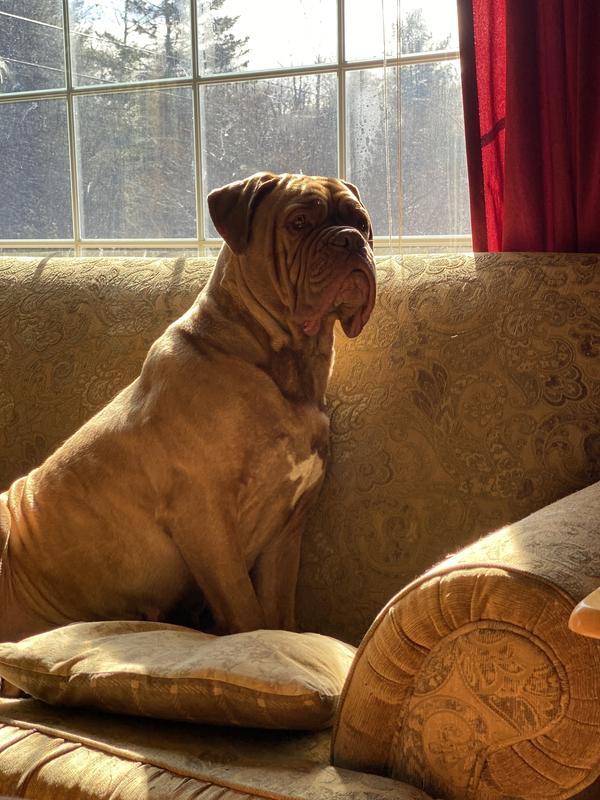 Hooch