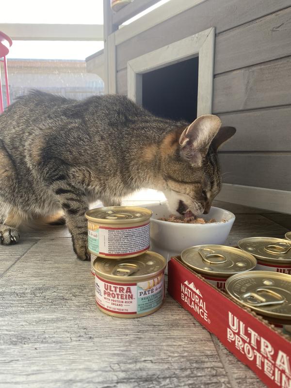 Bickiee my girl could not get enough of this food! I’m so happy!