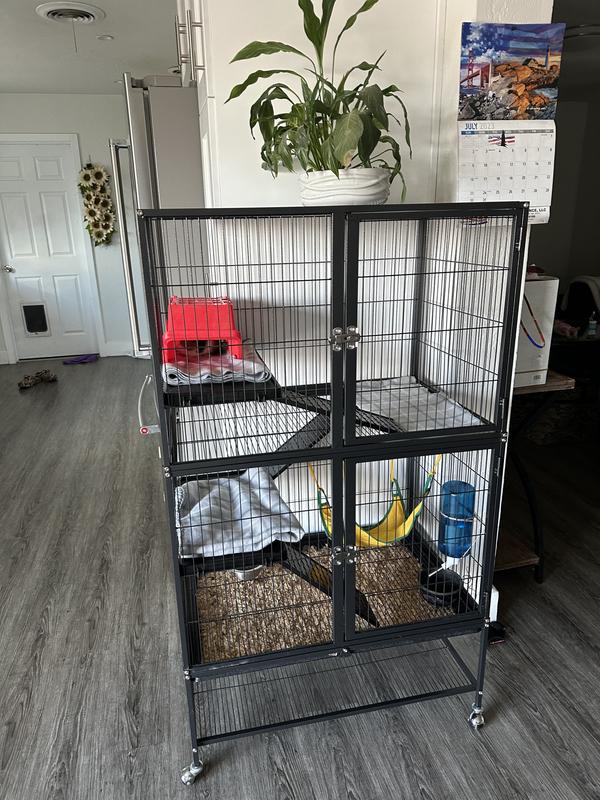 ideal ferret cage setup