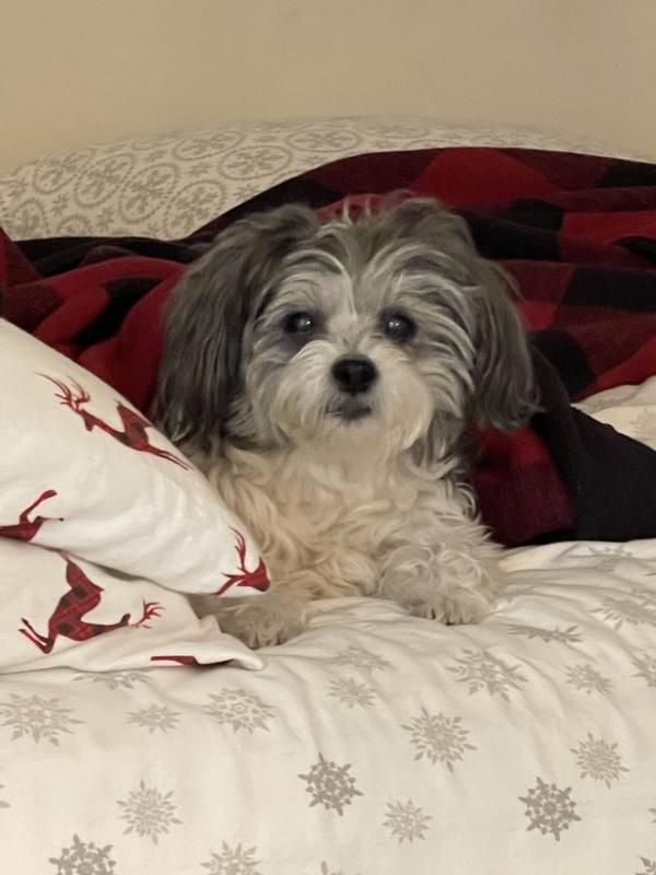 My favorite place. Maxmillion