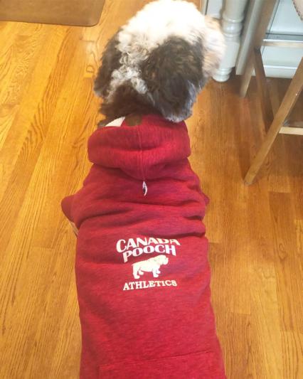 Canada Pooch Cozy Caribou Hoodie