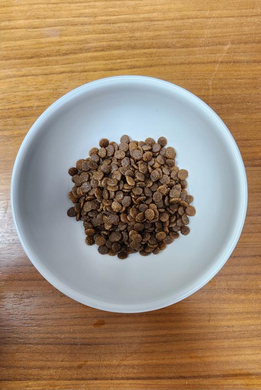 The food smells pleasant, and has no dust whatsoever