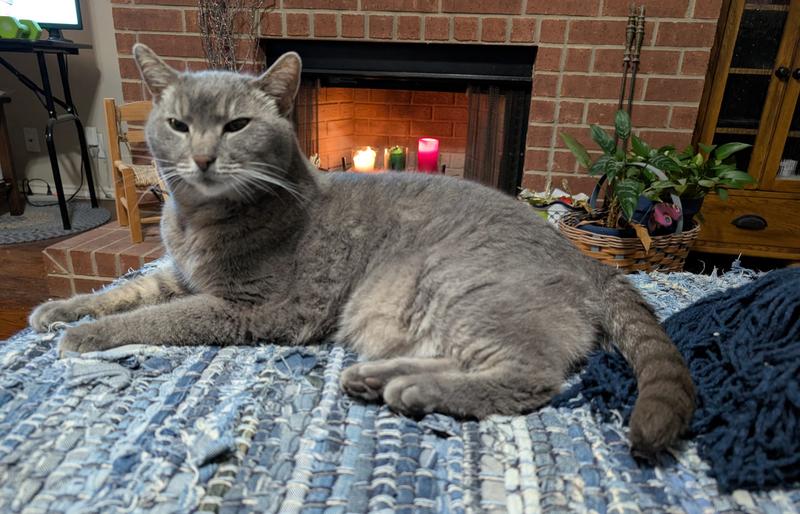 Lil' Missy, aka Her Majesty