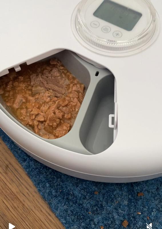 They way the dish displays the food.