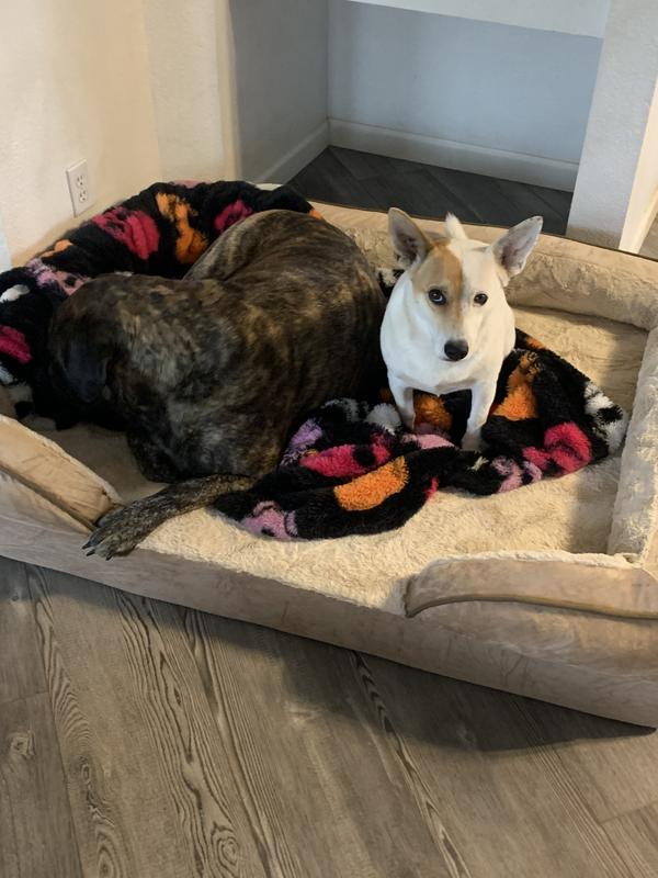 FurHaven Velvet Waves Perfect Comfort Orthopedic Sofa Cat & Dog Bed