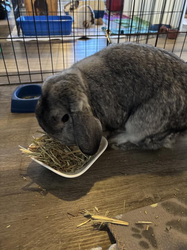 Brock says he enjoys Blue Mountain Hay