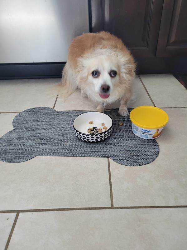 Loves the moist refrigerated food.