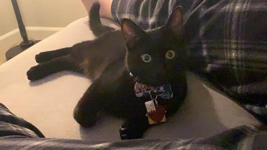 6 months, 6 lbs