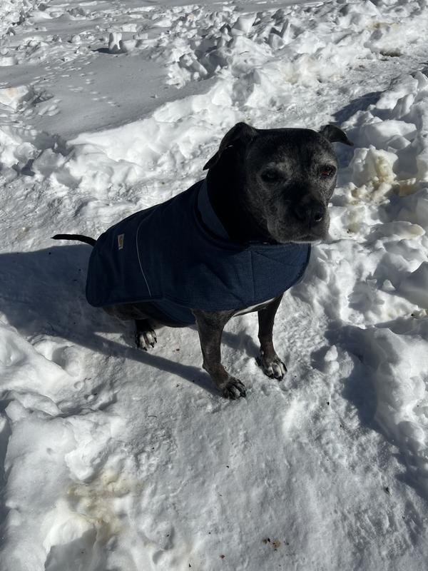 Staying warm in chilly temperatures