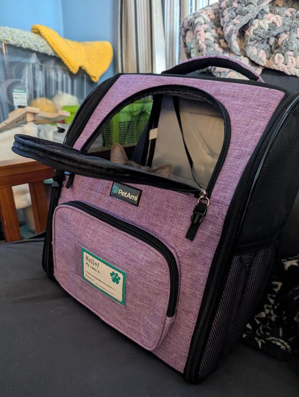 Petami backpack carrier sitting on a sofa with the front entry open, a cat's ears barely visible over the folded open flap