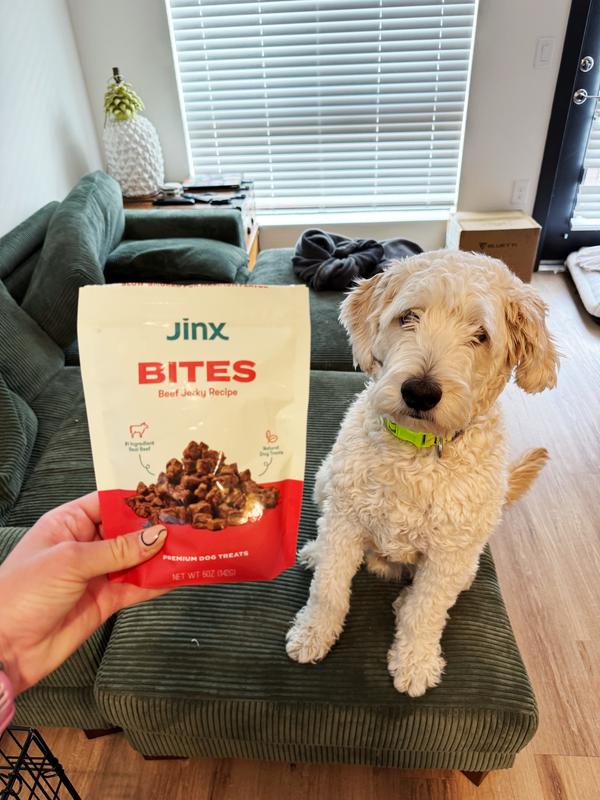 JINX Beef Bites Jerky Dog Treats, 5-oz bag - Chewy.com
