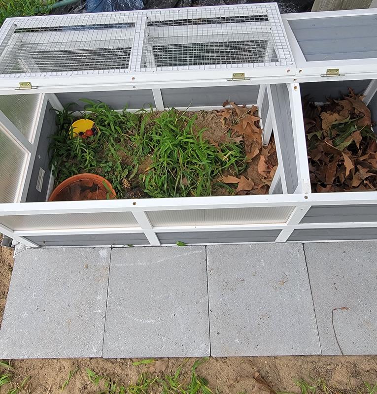perfect outdoor turtle home