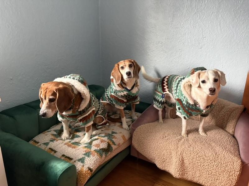 They really don’t mind wearing them and the pajamas keep them warm on these super cold days. Also great for layering under a coat outside!