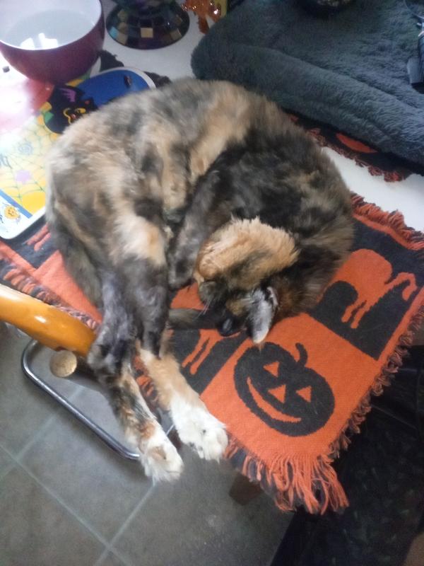 Less water added and more more sauce added, Please!!****